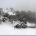 今日の朝、猪名川町の大野山に雪が積もってたみたい。